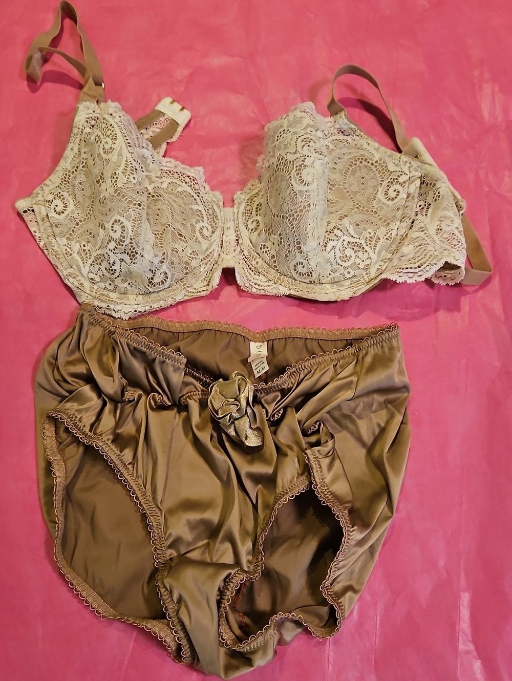 ThirdLove Cream Lace Underwire Bra Brown Satin High-Waist Briefs 0253